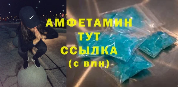 винт Алзамай