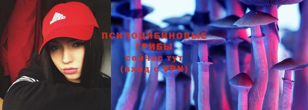 винт Алзамай